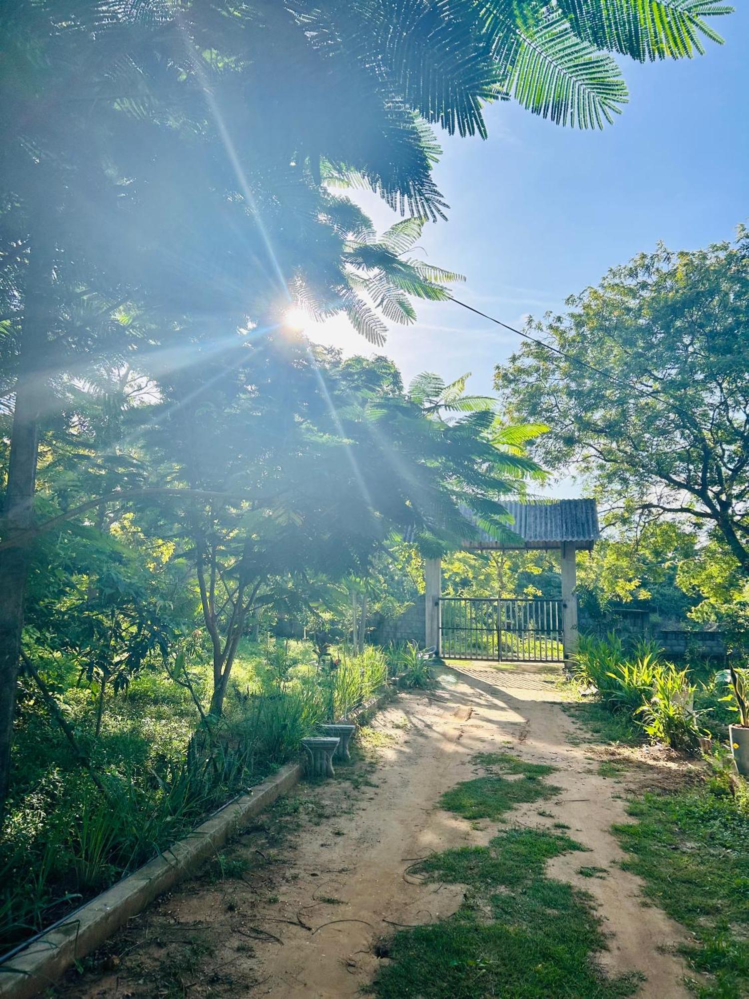 Neem Holiday Bungalow Yala Tissamaharama Bagian luar foto